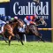 Verry Elleegant heads early odds for the Chipping Norton Stakes