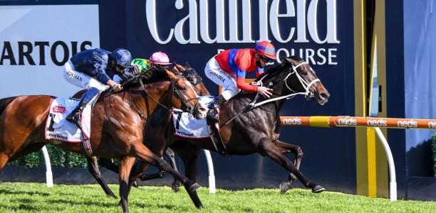 Verry Elleegant heads early odds for the Chipping Norton Stakes