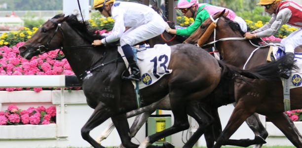 Hong Kong Derby