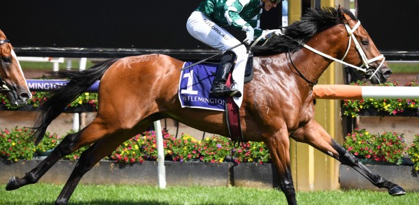 Australian Guineas: Tagaloa set to replicate on-speed tactics