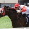 Poland ready to annex Australian Guineas