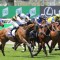 Launceston Cup punters Barade bookmakers