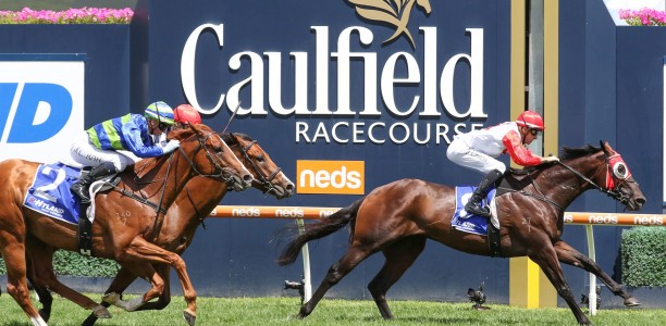 Leading contender late scratching in Australian Guineas