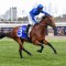 Bivouac to head to Canterbury Stakes or Challenge Stakes