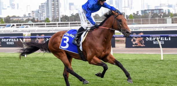 Bivouac to head to Canterbury Stakes or Challenge Stakes