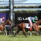 Fifty Stars chases a second Australian Cup