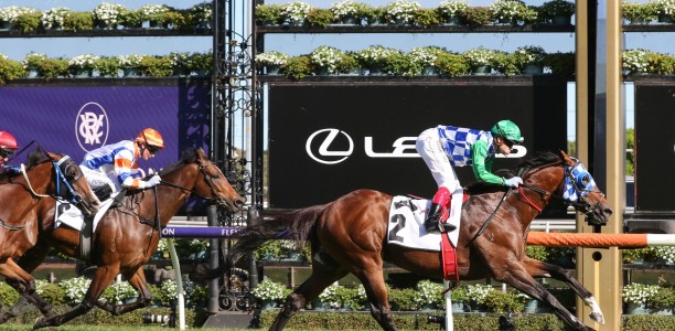 Fifty Stars chases a second Australian Cup