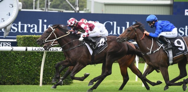 Todman Stakes or Black Opal for Rocket Tiger