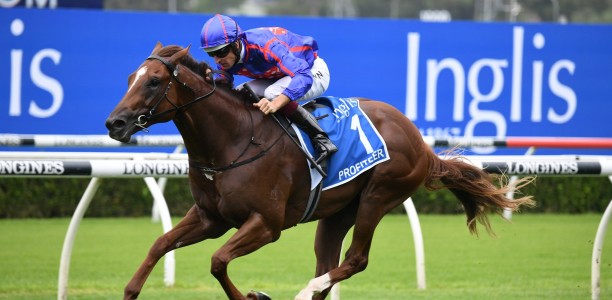 Profiteer to cement Golden Slipper favouritism