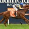 Owners reject healthy offers for boom colt
