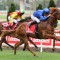 Godolphin with a strong hand in the VRC Sires Produce Stakes
