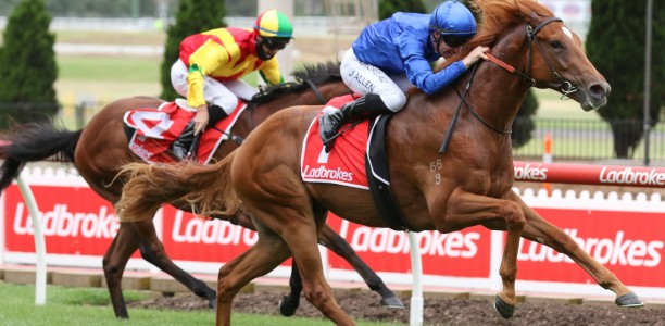 Godolphin with a strong hand in the VRC Sires Produce Stakes