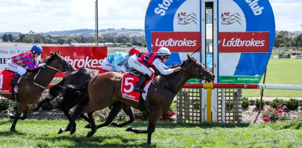 Stony Creek Cup