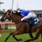 Gem of a ride lands Kris Lees another Newcastle Newmarket