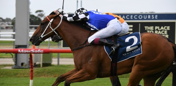 Gem of a ride lands Kris Lees another Newcastle Newmarket