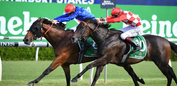Savatiano breaks G1 duck in the Canterbury Stakes