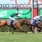 Blinkers do the trick with Night Raid in Adelaide