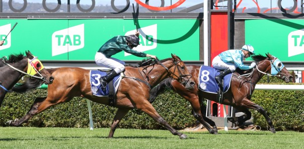 Blinkers do the trick with Night Raid in Adelaide