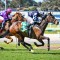 Alister Clark Stakes a Australian Derby test for Young Werther