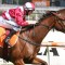 William Pike’s Queen draws perfectly in All Star Mile