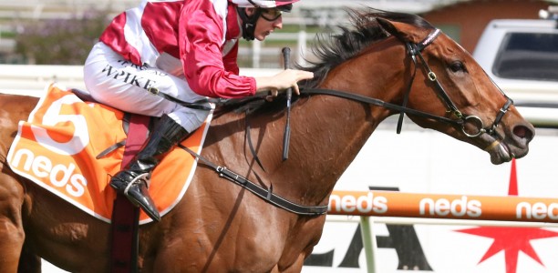 William Pike’s Queen draws perfectly in All Star Mile