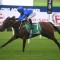 Punters quick to plunge on star mare at Randwick