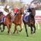 All Star Mile forecast to suit Russian Camelot
