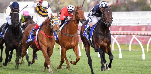 All Star Mile plunge on boom horse