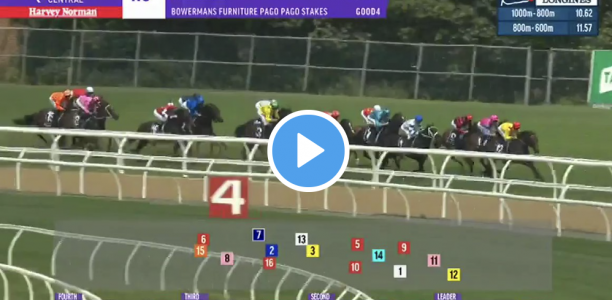 Pago Pago Stakes results and replay – 2021