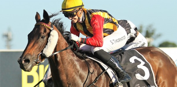Stephanie Thornton is simply flying