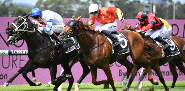 Shalaa and Maurice’s 2YOs sparkle in Sydmey
