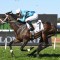 Luckless Mo’Unga heads odds for the Rosehill Guineas