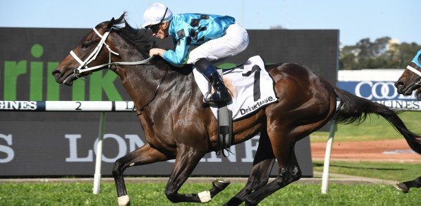 Luckless Mo’Unga heads odds for the Rosehill Guineas