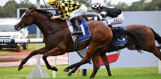 Mallory good enough to cause an upset in the Golden Slipper