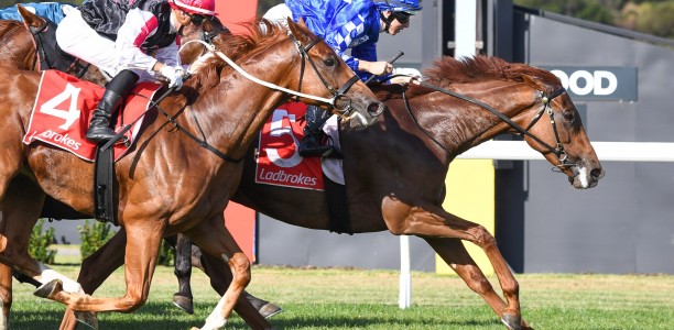 Shandy returns with dogged win at Sandown