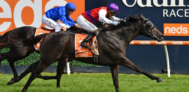 Artorius out to claim rare Blue Diamond-Golden Slipper double
