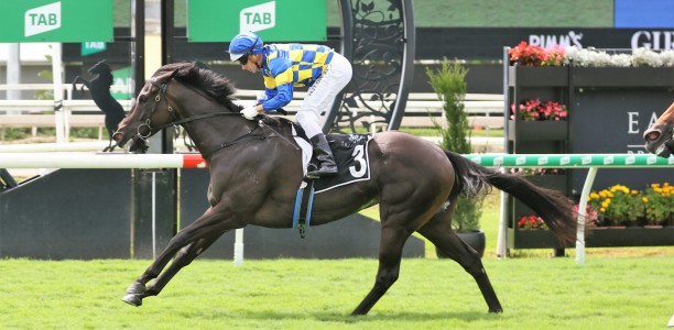 Kalik breaks long drought at Eagle Farm