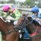 Madeleine Wishart continues dream run at Eagle Farm
