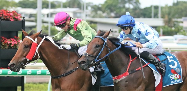 Madeleine Wishart continues dream run at Eagle Farm