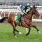 Rostropovich set for return from near death injury