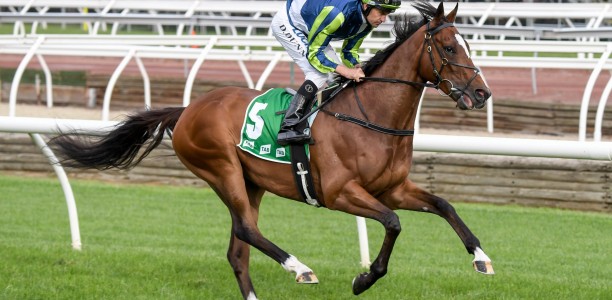 Rostropovich set for return from near death injury