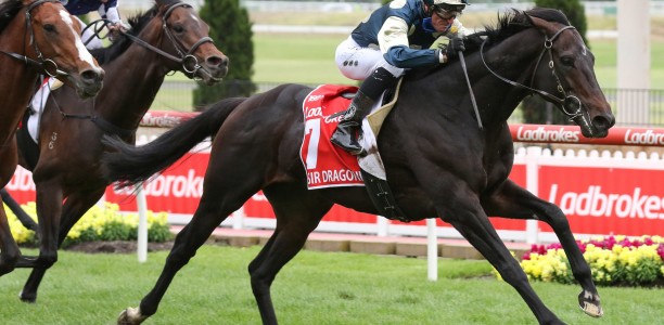 Sir Dragonet out to upset big guns in Ranvet Stakes