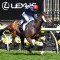 New pre-travel protocols hit International horse numbers