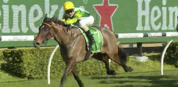 Lovemetender set for spring after impressive win