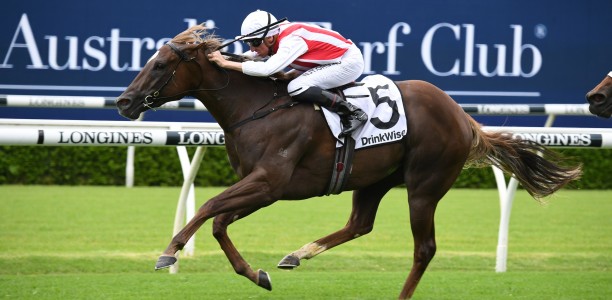 John Sargent hoping filly has the right Moves