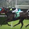 Firm footing the key for Invinciano