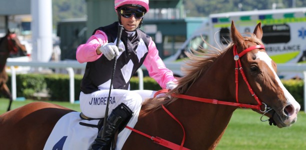 Champion jockey speaks out about depression battle