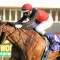 Tommy Berry banks on Phobetor’s fitness advantage