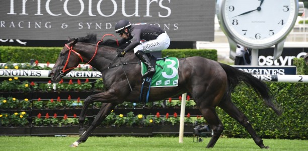 Star mare heavily backed in the Missile Stakes