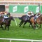 The Astrologist too fast for rivals in the Aurie’s Star Handicap